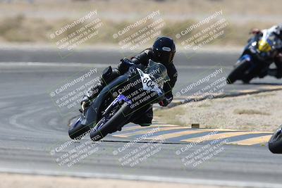 media/Apr-20-2025-CVMA (Sun) [[39090e8767]]/Race 11-500-350 Supersport (Holeshot)/